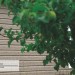 Сайдинг Ю-Пласт TIMBERBLOCK Пихта (Тимберблок) Cахалинская купить в Барнауле