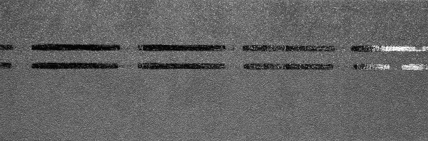 Коньково-карнизная черепица Docke Premium, черника купить в Барнауле