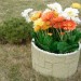 Цветник КАНЬОН купить в Барнауле